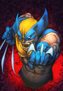 Wolverine by PANT