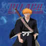 Bleach