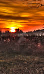 Sunrise Near the Scrap Yard II by cgauss