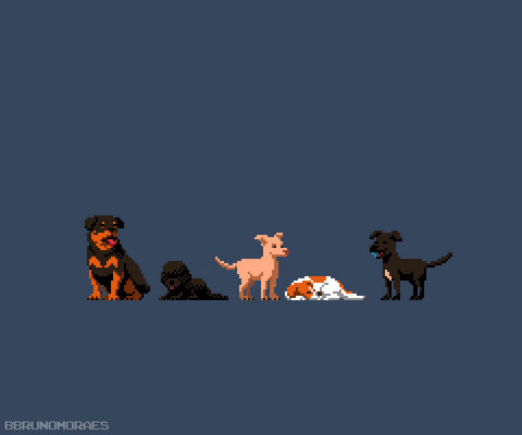 (Animated) Octobit - Day 08!