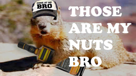 Those Are My Nuts Bro