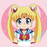 BSSM - Sailor Moon Button