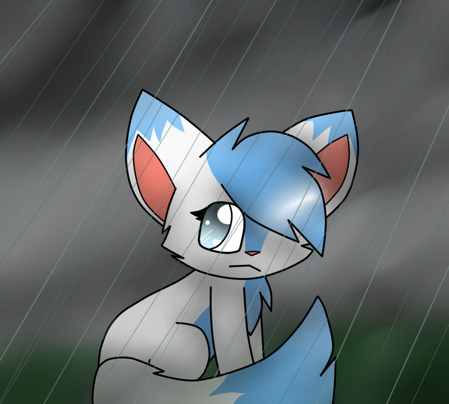 In  the rain