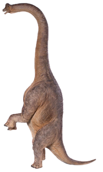 Brachiosaurus