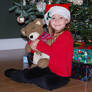 Christmas Bear 1