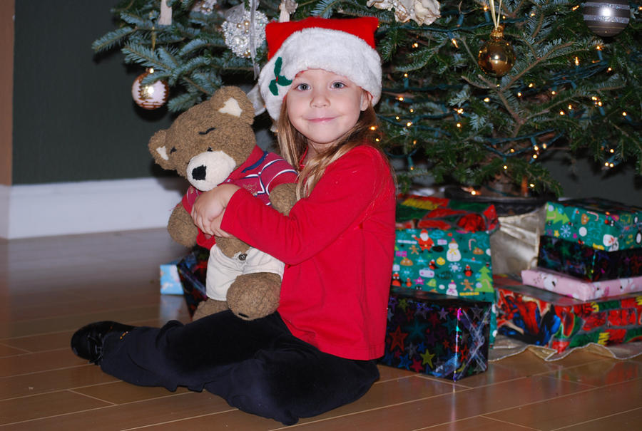 Christmas Bear 1