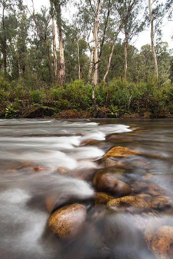 Howqua Stream, Victoria