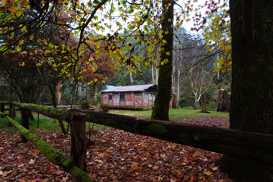 Patterson's Hut