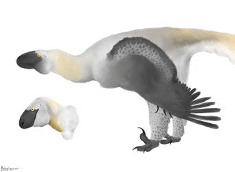 Utahraptor ostrommaysi