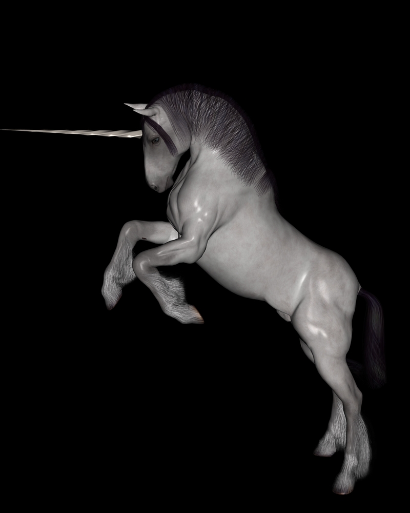 Unicorn