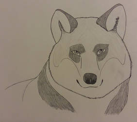 Wolf with Panda Colors