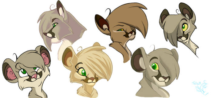 Cougari Various Style Changes