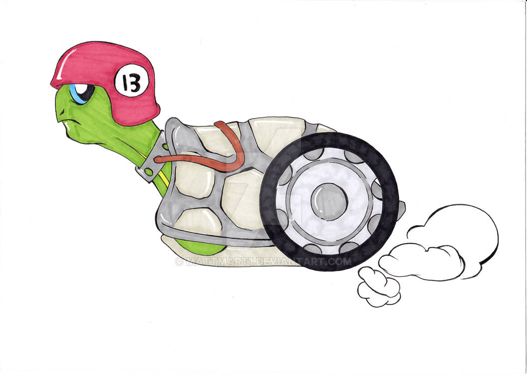 Turtle 3 by mattmart1 on DeviantArt