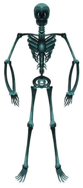 Zentha Skeleton