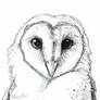 Inktober Owl
