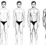 Male Body Types