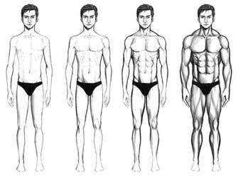 Male Body Types