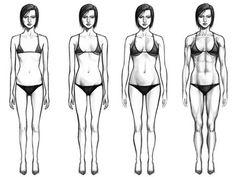 Female Body Types