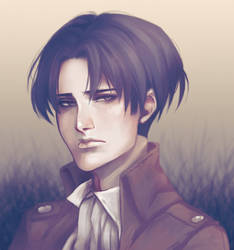 +Levi Ackerman+