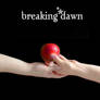 Breaking Dawn: A New Beginning