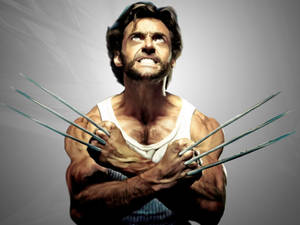 Wolverine