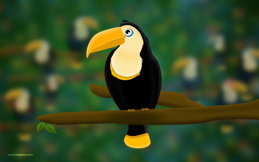 Toucan smile