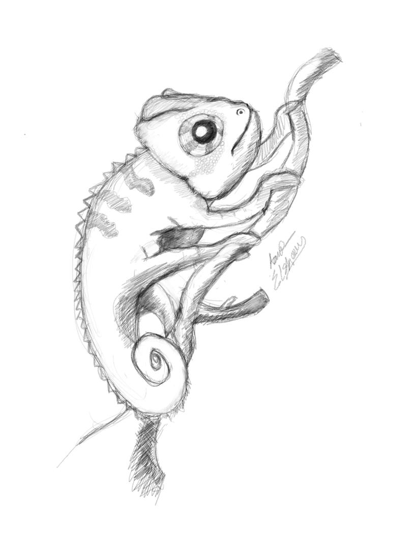 Chameleon drawing + Speedpaint!