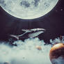 Flying whales