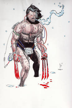 Wolverine X Travis Charest