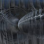 Behind the Vortex