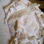 Copy of Michelangelo -2-