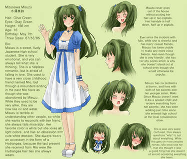 MizusawaMisuzu Character Sheet