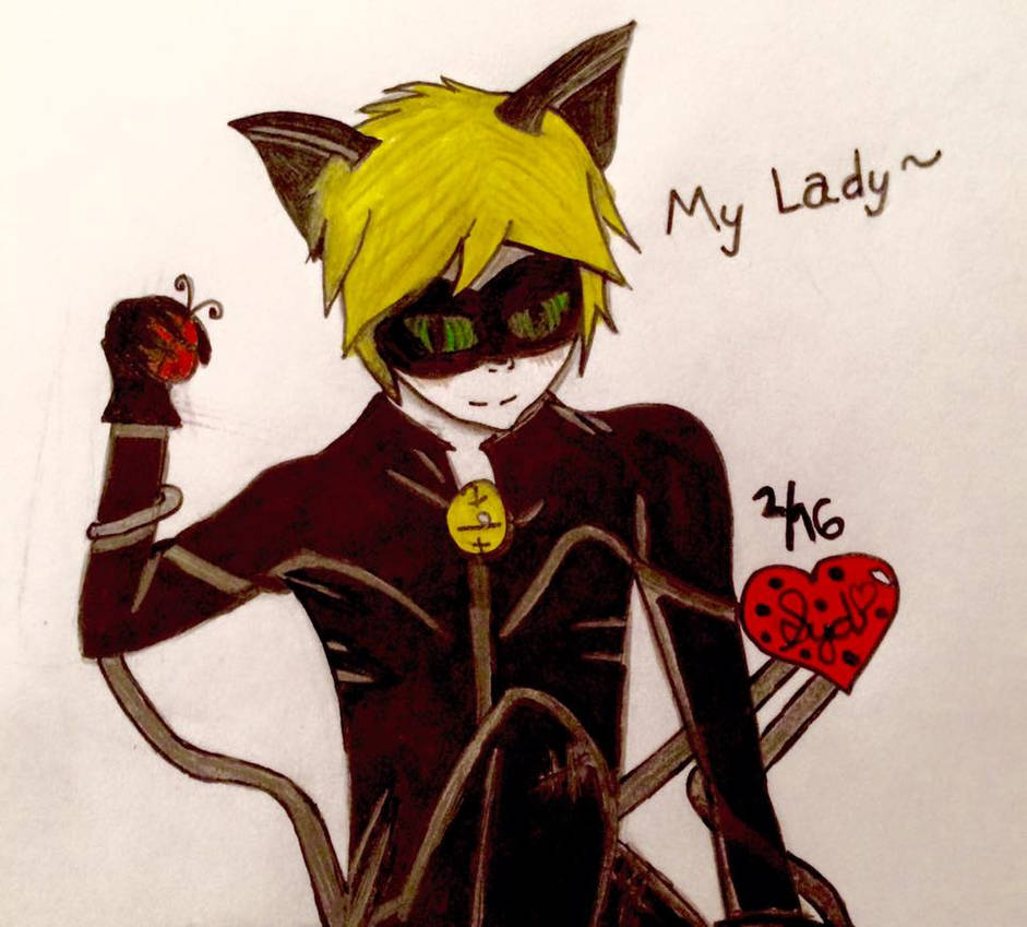 Chat Noir Drawing Miraculous Ladybug By Hom3wr3ck3r On