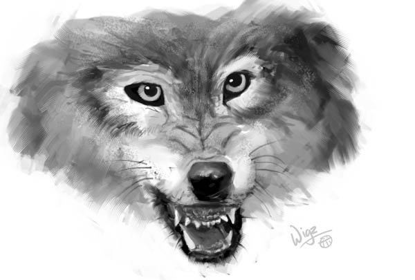 Sketch :: Woof by MissWiggle
