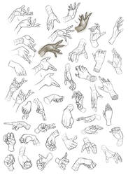 Female Hand Study 1