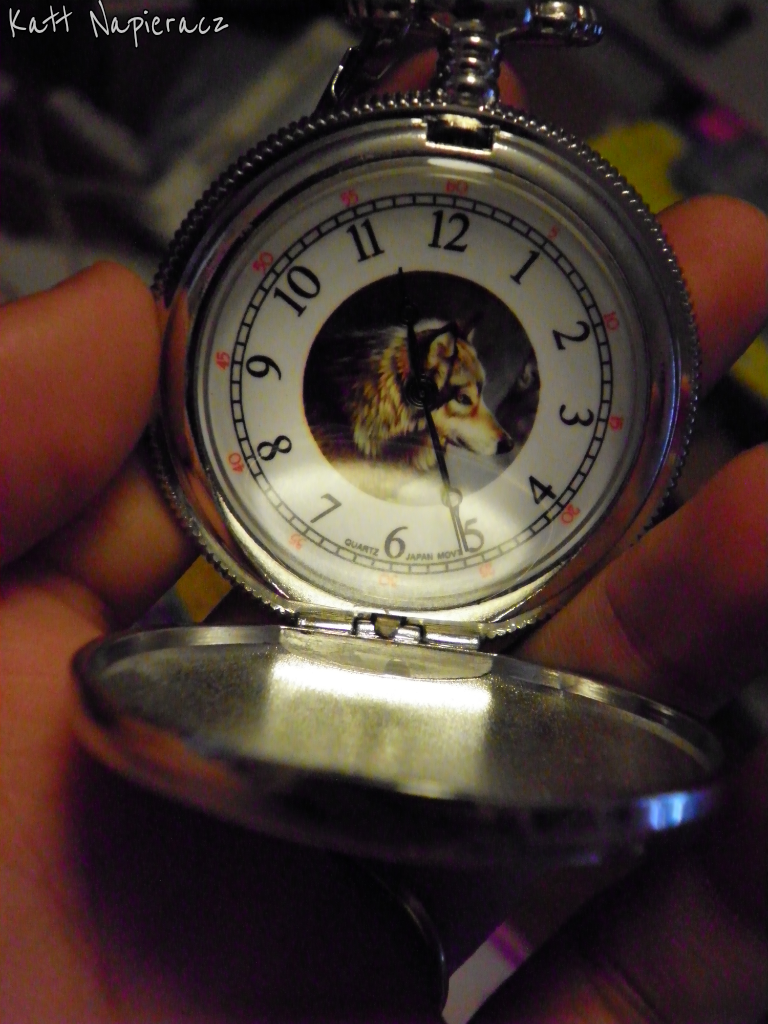 Pocket watch III