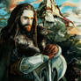 The Dwarves Thorin oakenshield richard armitage