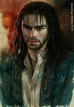 AidanTurner Kili