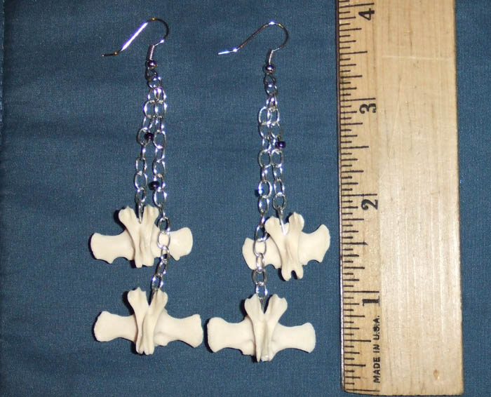 Opossum Vertebrae Earrings