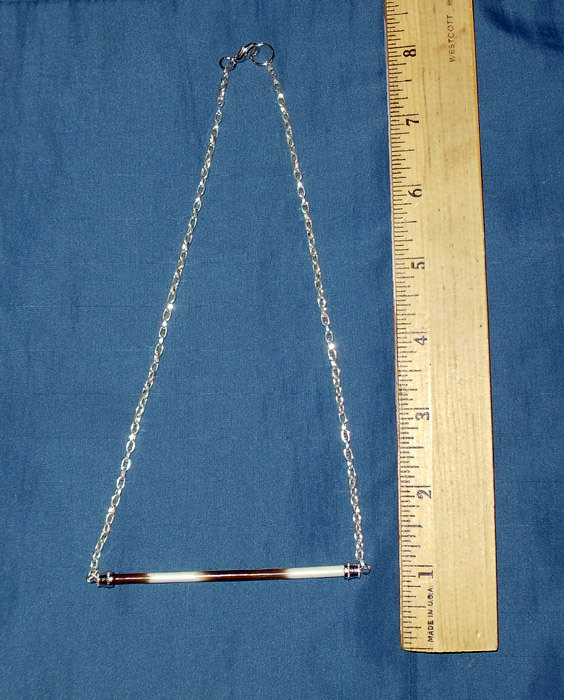 Real Porcupine Quill On Silver Chain Necklace