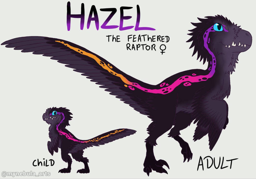 Feather Raptor Design Hazel The Feathered Raptor NEW DESING by XxNebulaArtsXx on DeviantArt