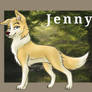 Jenny The Border Collie 