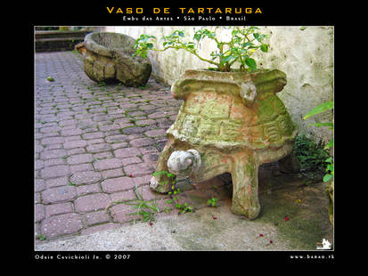 Vaso de tartaruga