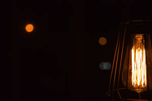 Filament by AntiConduit Filament by AntiConduit