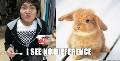Shinee Onew Rabbit SHINee Onew = Bunny by MikeShinodaFan on DeviantArt