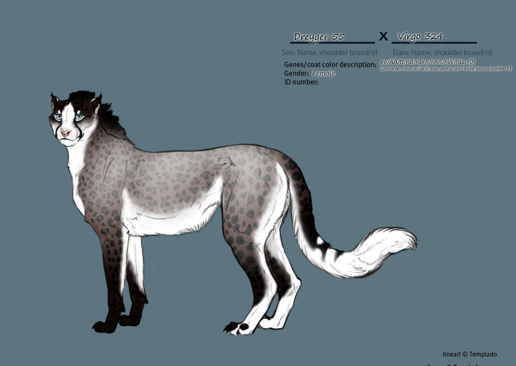 Aerin 2035 by SheduMaster Aerin 2035 by SheduMaster
