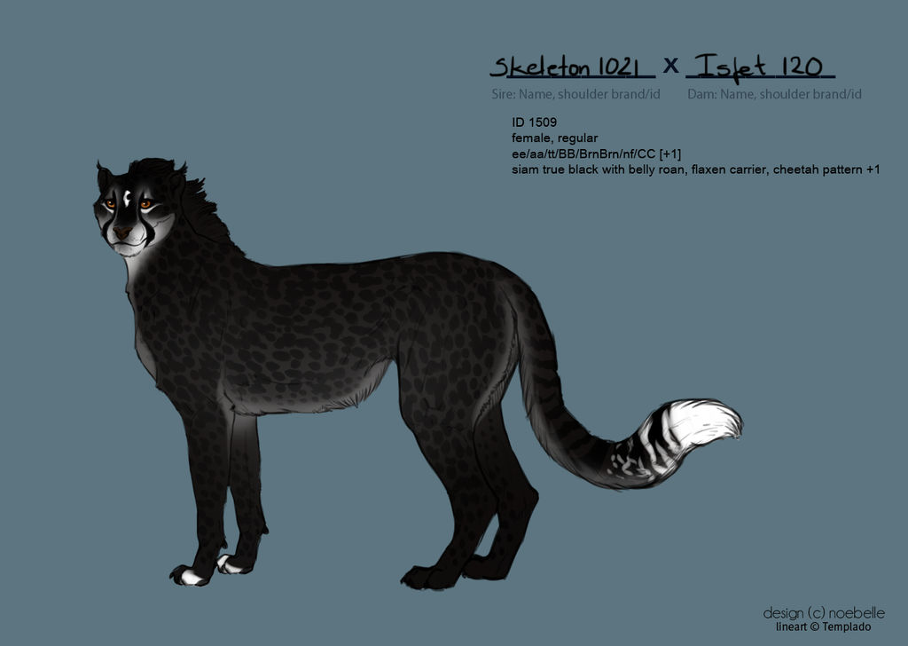 WBR The Newt 1509 by SheduMaster
