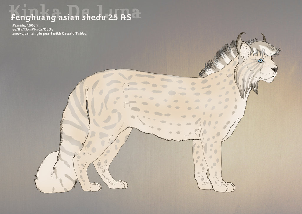 Kinka De Luna 25AS by SheduMaster