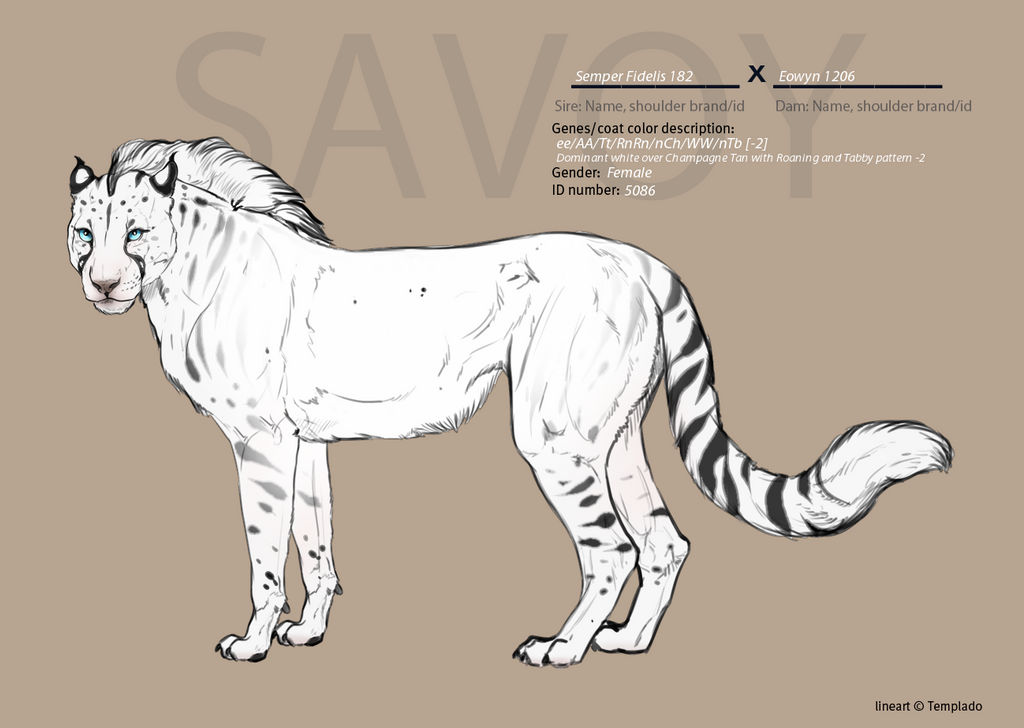 Roma 5086B by SheduMaster Roma 5086B by SheduMaster