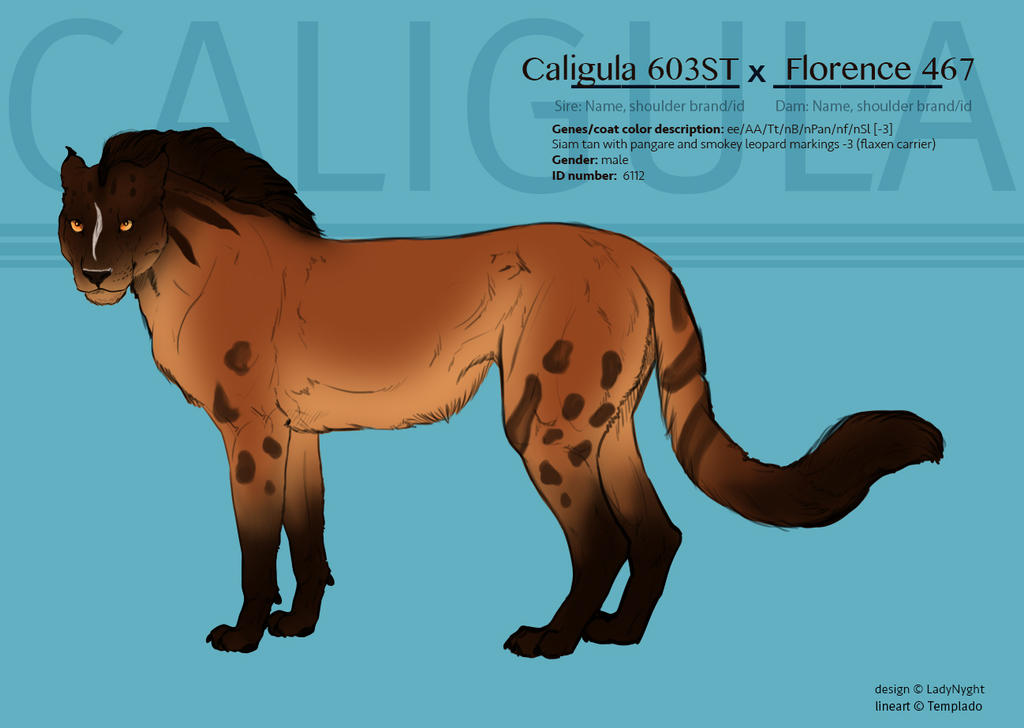 Remus Raccoon Remus 6112 by SheduMaster on DeviantArt